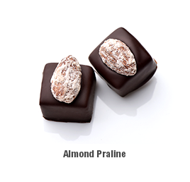 Almond Praline